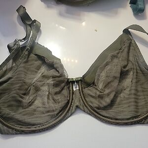 Curvy Couture Sheer Olive Green Underwire Bra